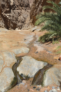 Figure 10. Wadi Tayyib al-Ism’s above-ground stream today cascades over well-worn rocks. Photograph by the author.