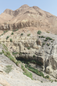Figure 4. A view looking westward up Nahal David to the Judean Desert above. Photograph by the author.