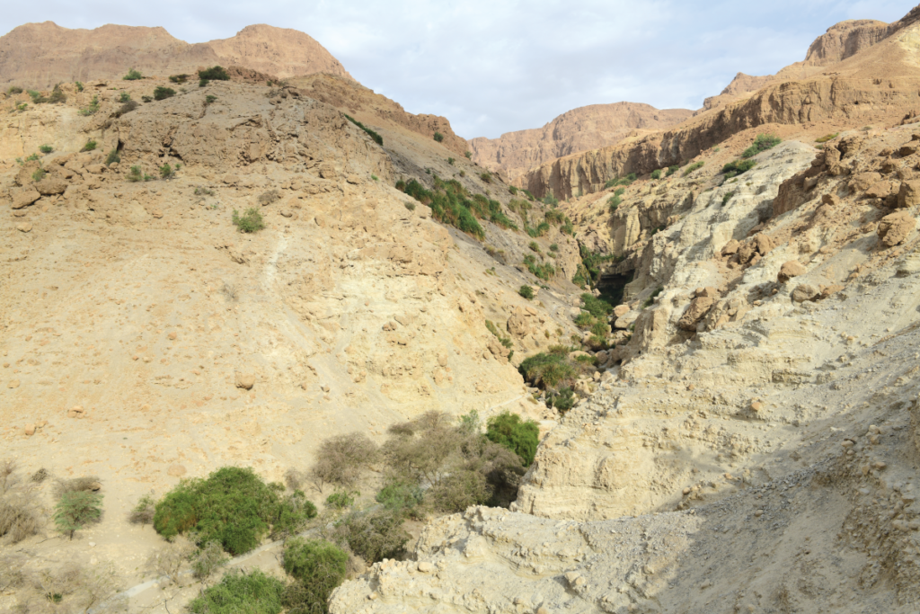 Figure 2. The “Ein Gedi ascent” climbs the central massif on the left in this image.