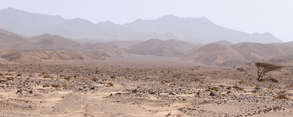 Figure 9. Inland of Bir Marsha on the coast, the dry wadis in the distance offer access to the interior of the Mazhafah mountains. Photograph by the author.