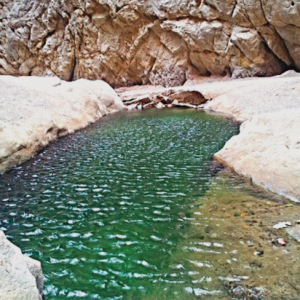 Figure 10. Wadi Tayyib al-Ism’s above-ground stream today cascades over well-worn rocks. This image shows the enlarged stream following winter rains. Photographs by the author.